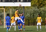 Parkland Men’s Soccer equipped with untapped potential